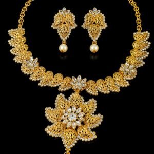 Elegant Party Wear – Luxury Fancy Premium Design